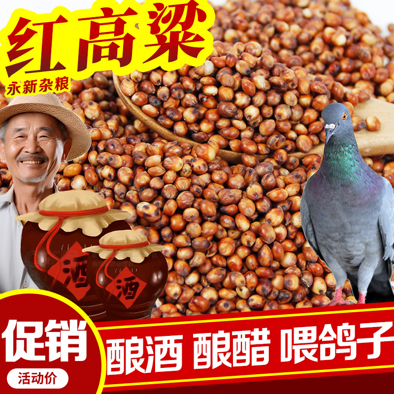 厂家直销红高粱20斤带皮高粱5斤酿酒喂鸽子鸽粮食酿醋特价10kg