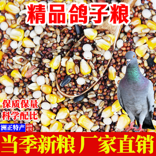 精品鸽粮无玉米鸽子粮营养红高粱小麦豌豆饲料成肉鸽幼鸽粮鸟食