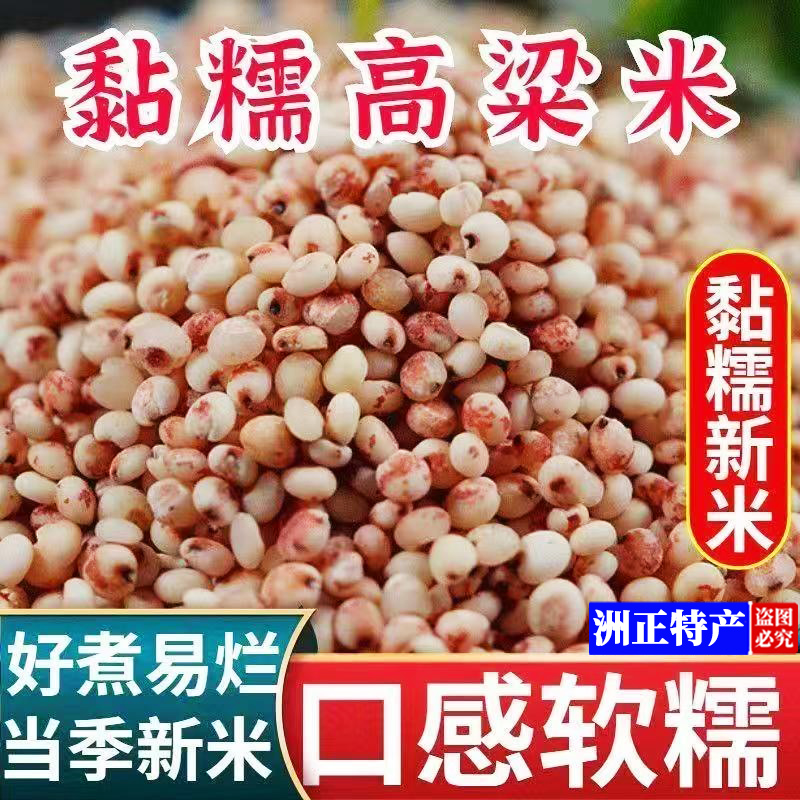 优质5斤红糯高粱米粘高粱米净重正宗东北黑山农家自产厂家直销