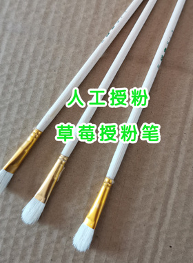 人工授粉笔 草莓授粉笔 多肉果树人工授粉用授粉笔  满10元包邮