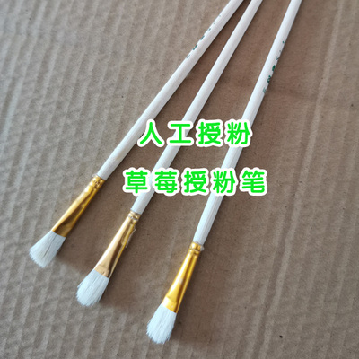 授粉笔草莓多肉果树授粉