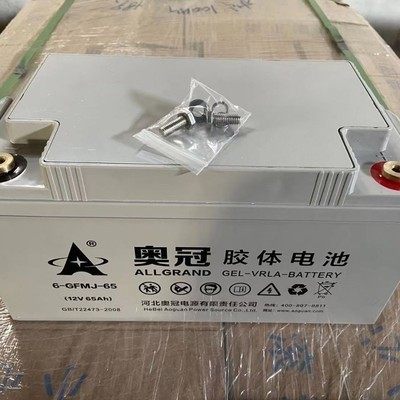 奥冠胶体蓄电池6-GFMJ-100免维护12V100AH太阳能电源规格齐全