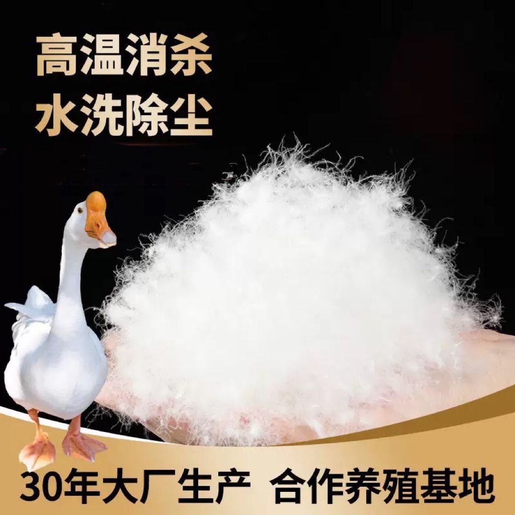 散装羽绒 95 白鹅绒大朵 98 白鹅吊绒原料白鸭绒羽绒被白鹅绒吊绒