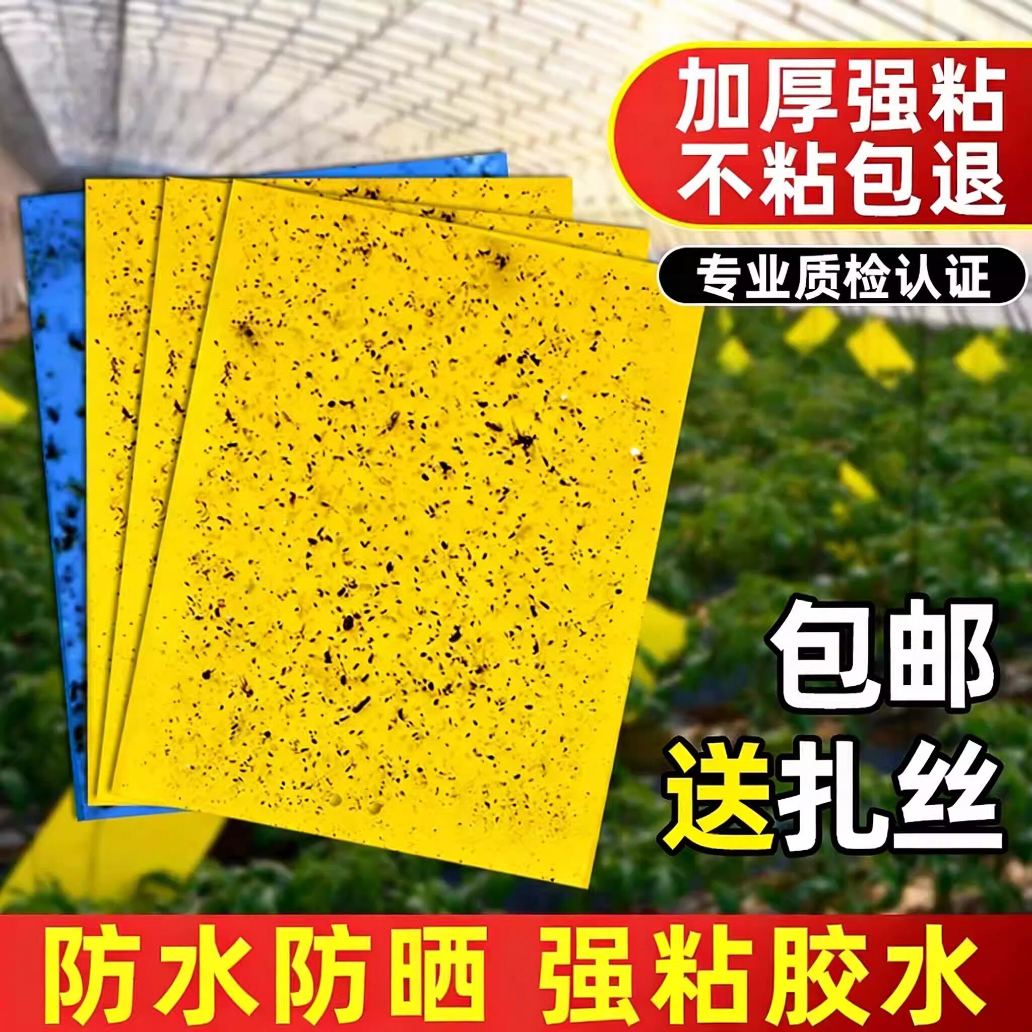 粘虫板黄板双面大棚菜园小飞虫果蝇诱捕器粘蚊贴苍蝇贴果园粘蝇纸