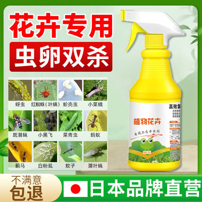 【杀虫不伤花】栀子花专用杀虫剂