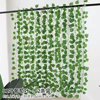 81 листовой лист винограда 12