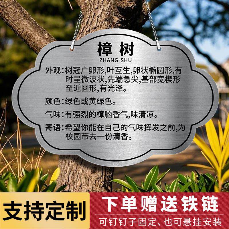 园艺标签不锈钢树牌挂牌植物绿植吊牌树木标识介绍牌树名牌定制