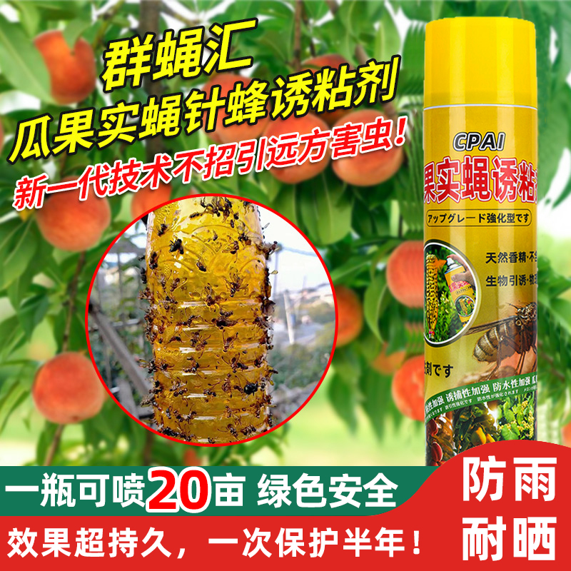 瓜果实蝇针蜂诱粘剂果蝇诱捕器