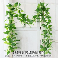 2 штуки 135-листной пластифицированной однотонной зеленой редьки