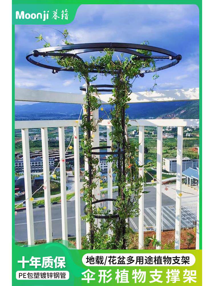 伞形花架支撑杆户外庭院钢管置物架室外花园植物月季玫瑰爬藤架子