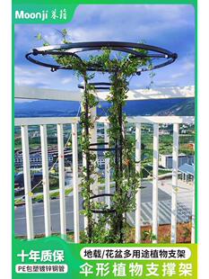伞形花架支撑杆户外庭院钢管置物架室外花园植物月季玫瑰爬藤架子