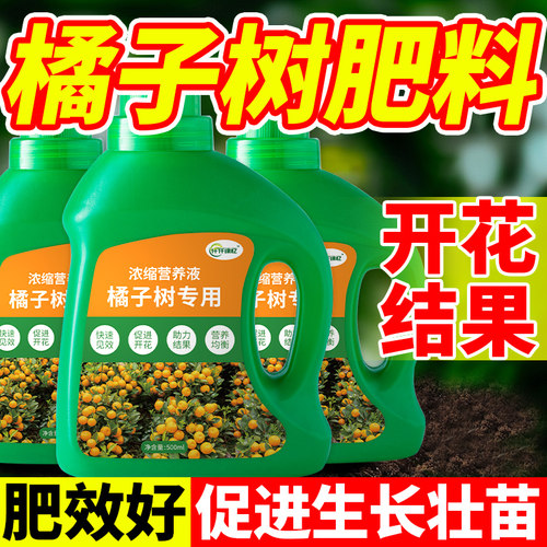 桔子树专用肥橘子肥料金桔营养液柑橘水溶沃柑盆栽果树开花结果用