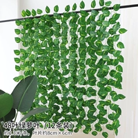 48 листовой зеленый петля 12