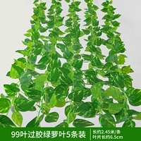 5 99-листных пластифицированных листьев зеленого редиса