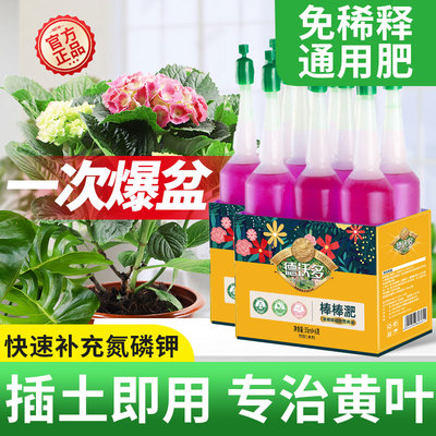 营养液植物通用型花肥料室内发财树黄金葛富贵竹专用免稀释花卉盆