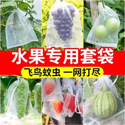 防虫袋瓜果蝇鸟神器滤网