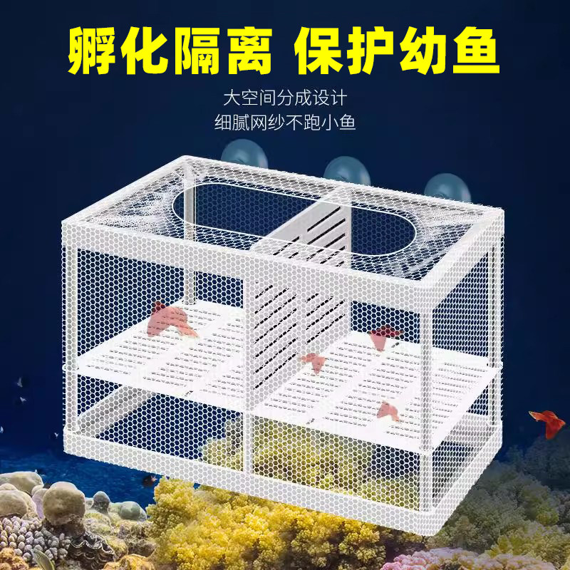 鱼缸隔离盒孵化隔离网孔雀鱼小鱼繁殖盒斗鱼热带鱼孵化器繁殖箱