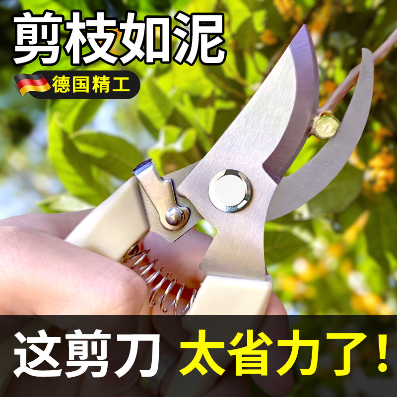 德国剪枝剪刀专用花剪园艺园林修枝园丁剪嫁接强力采摘省力修果树