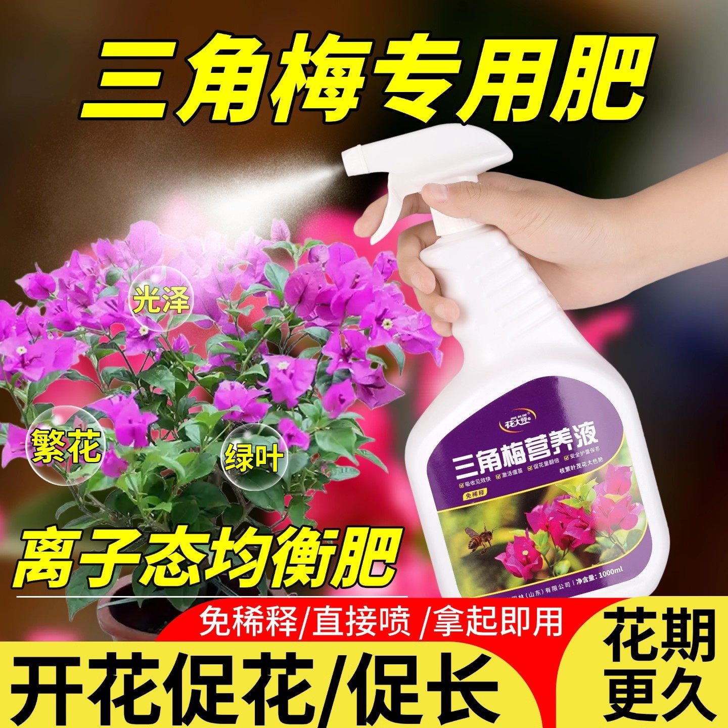 三角梅营养液专用肥料开花专用肥促花爆花盆栽免稀释液体叶面肥