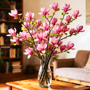 水培玉兰花鲜切枝带花苞鲜花卉室内好养植物过年客厅摆件年宵花