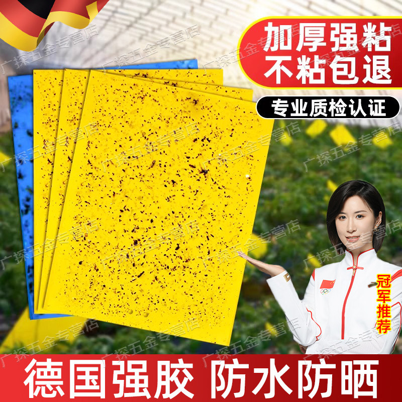 德国粘虫板黄板双面苍蝇贴强力粘纸家用室内农用小飞虫果蝇诱捕器