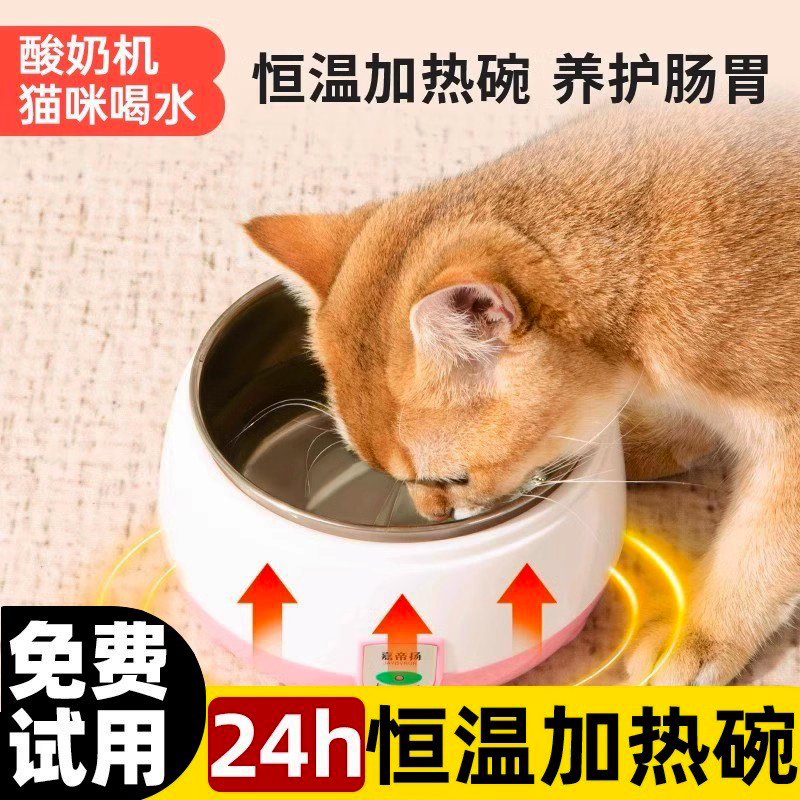 猫咪饮水机恒温酸奶机饮水器冬季