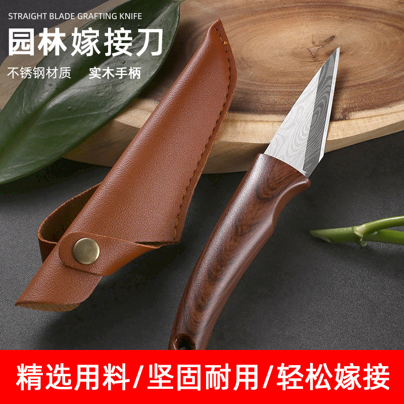 德国嫁接专用刀果树植物多肉砍头扦插嫁接神器手工嫁接芽刀膜工具