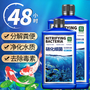 硝化细菌鱼缸专用养鱼稳定剂净水剂水质净化分解鱼粪便消化液活菌