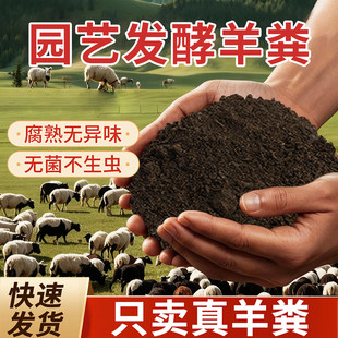 羊粪发酵有机肥内蒙古腐熟羊粪肥批发有机肥料蔬菜专用羊屎粪蛋