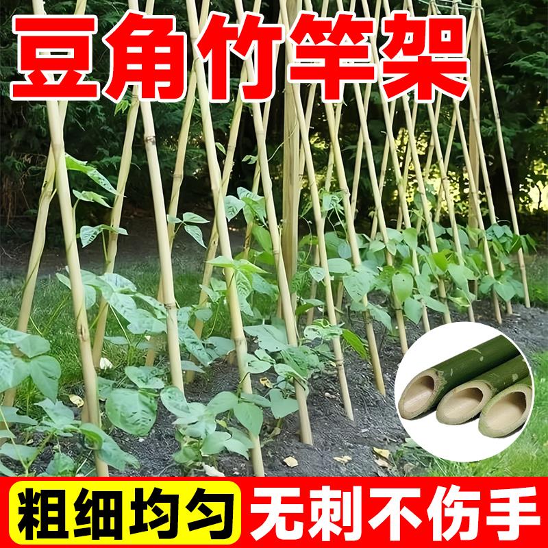 豆角架杆竹竿菜园搭架黄瓜番茄爬藤架葡萄架小竹子细竹竿篱笆栅栏