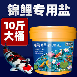 锦鲤鱼缸专用盐鱼盐净水盐观赏鱼冷水鱼池清洁净化剂池塘