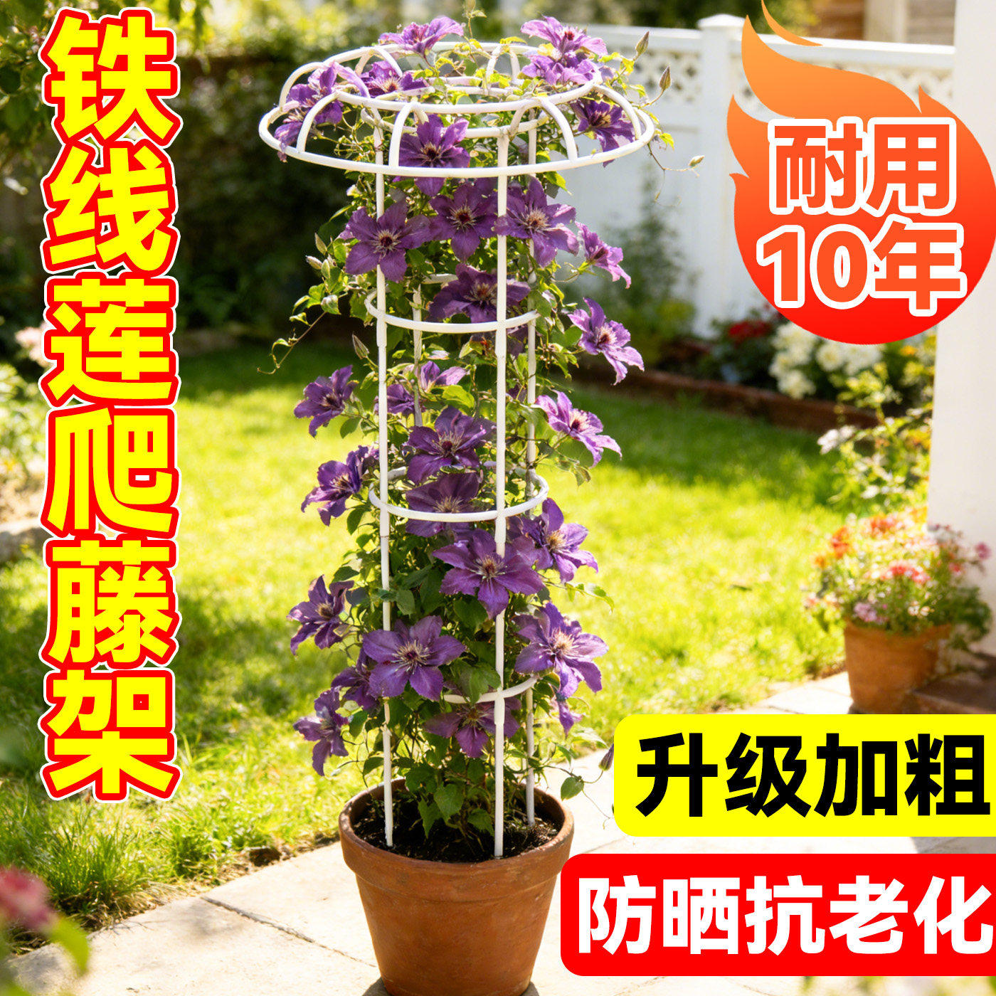 铁线莲爬藤架花架支撑杆园艺月季花攀爬架子蘑菇头花卉植物固定架