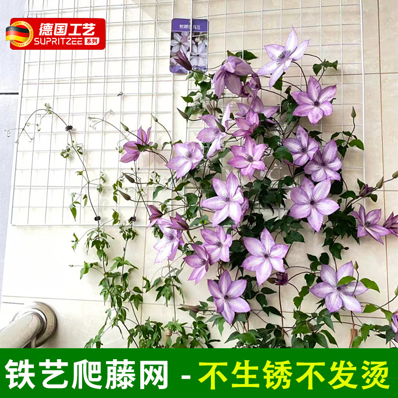蔷薇月季爬藤网格铁艺花架植物花风车茉莉铁线莲牵牛花园艺铁丝网