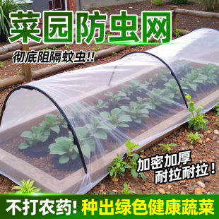 菜园防虫网纱网80目种菜专用加密尼龙网蔬菜果树菜地防虫网罩60目