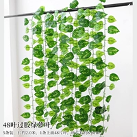 5 48-листных пластифицированных листьев зеленой редьки