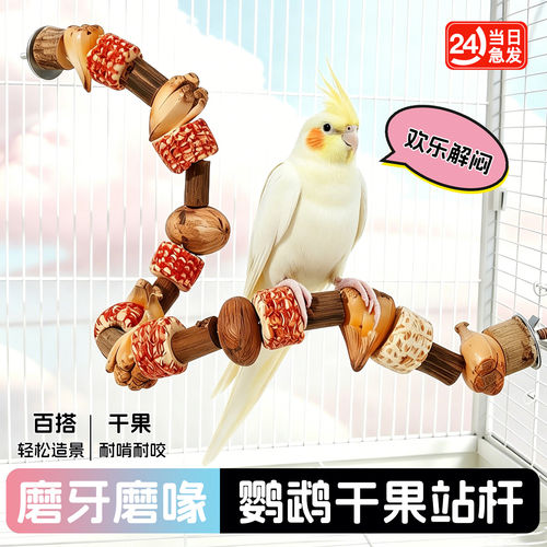 鹦鹉站杆玩具攀爬绳牡丹小太阳