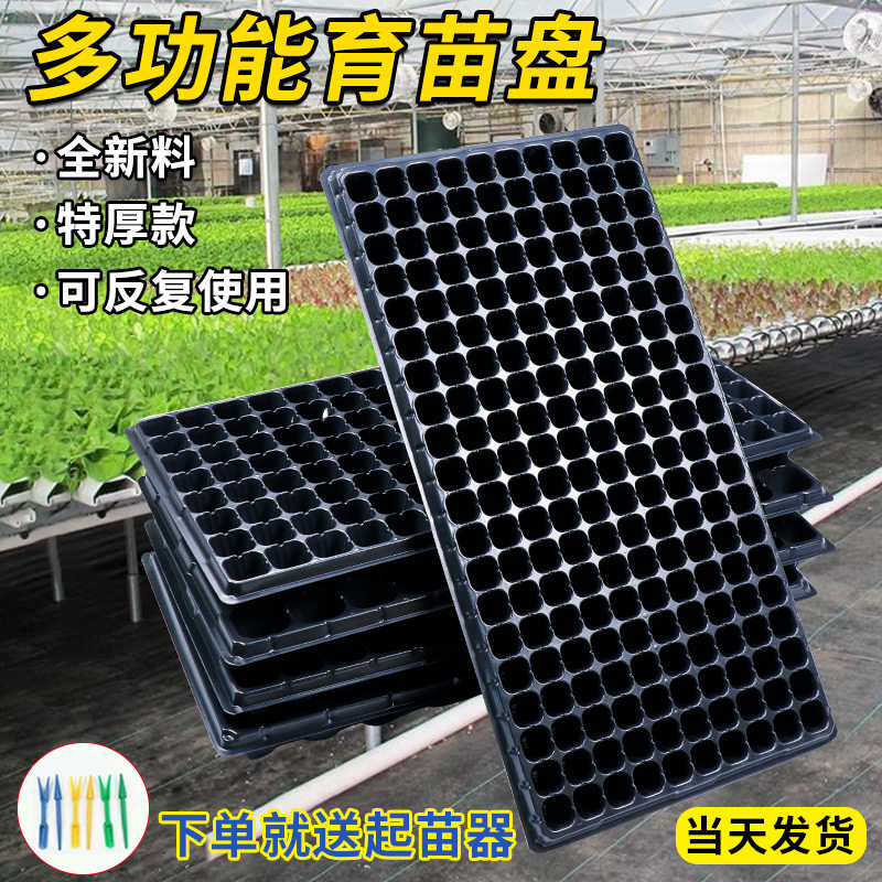 德国育苗盘穴盘塑料育苗盆营养钵播种器家用蔬菜种子花卉菜盘托盘
