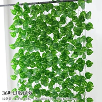 12 36-листных желатинизированных листьев зеленой редьки