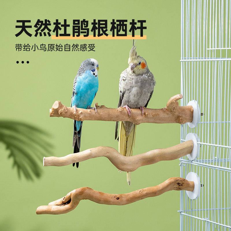 宠物鹦鹉站杆杜鹃根天然原木站棍鸟笼配件通用栖木树杈玄凤鸟站杆