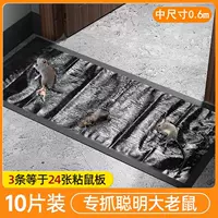 [10 наряд немецкой магии Seiko] 0,6 м увеличивает утолщенную версию скрытности