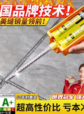 德国美缝剂地砖瓷砖专用家用防水防霉填充胶贵族银带胶枪双管工具