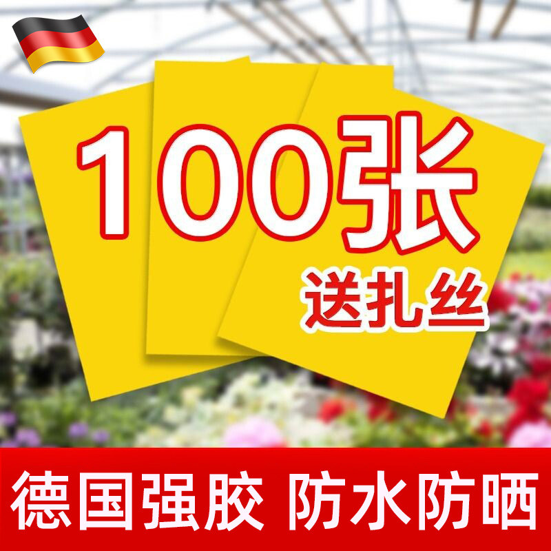 德国粘虫板黄板双面苍蝇贴小飞虫果蝇诱捕器强力粘纸家用室内农用