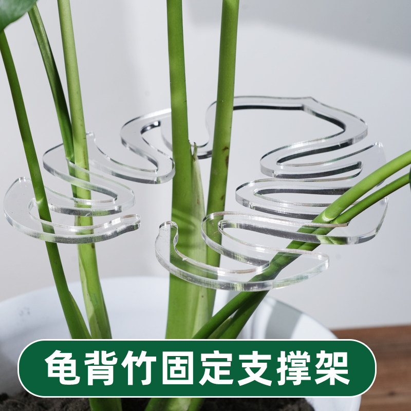 龟背竹支撑杆水培植物固定器神器枝干收拢架防倒伏支架绿植花支架