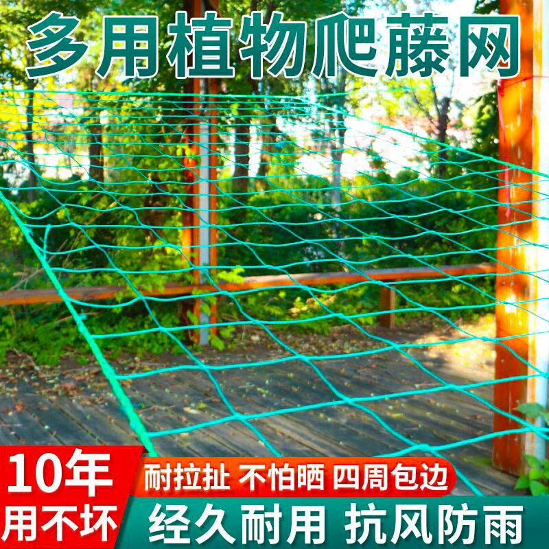 植物爬藤网攀援网园艺搭架网瓜果丝瓜苦瓜月季藤蔓花卉攀爬种植网
