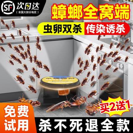 蟑螂药无毒家用全窝端强效蟑螂屋内室内孕妇婴儿可用杀虫剂胶饵贴