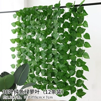 36 12 листьев листья листья зеленых листьев