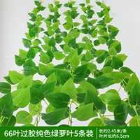 66 5 листьев над гель -пюре из зеленых листьев 5 листья 5