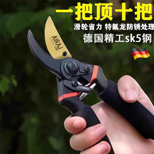 进口剪刀修枝剪果树花专用剪子