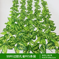 5 штук 99-листных склеенных павлиньих листьев