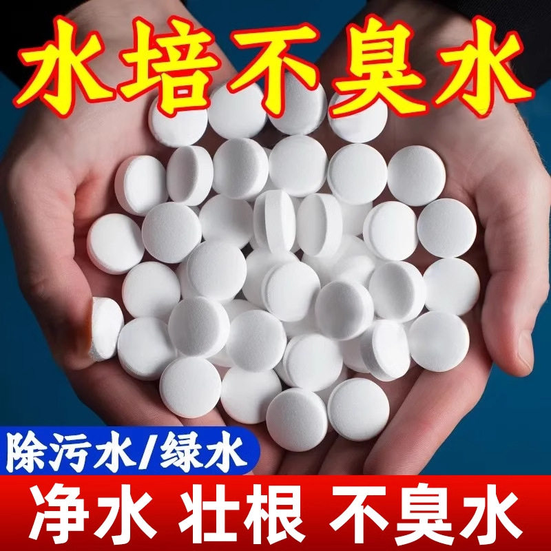水培植物净水片鲜花花卉保鲜剂不臭水碗莲专用通用消毒片净化水质